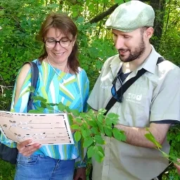 un animateur et une adulte observent une branche d'arbre et une clé de détermination