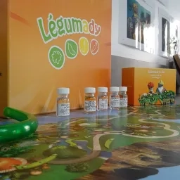 présentation du jeu "légumady"
