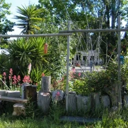 Photo d'un jardin fleuri et vert