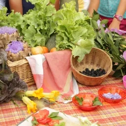 Photo de fruits et légumes posés sur une table avec des bras d'enfants en second plan