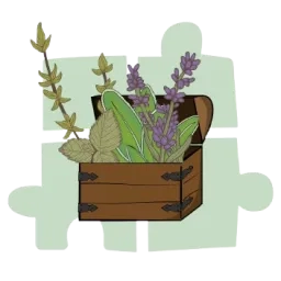 Illustration d'une malle en bois remplie de plantes aromatiques