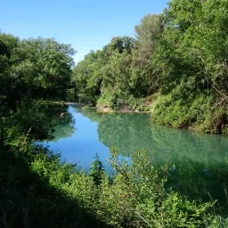 Photo de la rivère Mosson entourée de verdure et ciel bleu